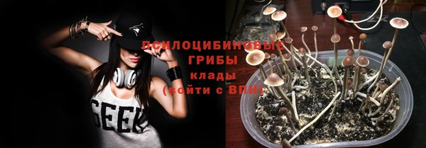 ешки Богородицк